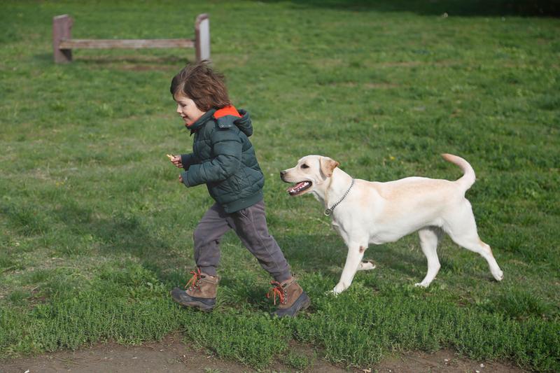 Best dogs to have with best sale babies