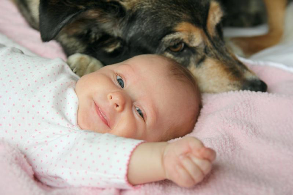 What New Moms Need to Know About Dogs and Kids